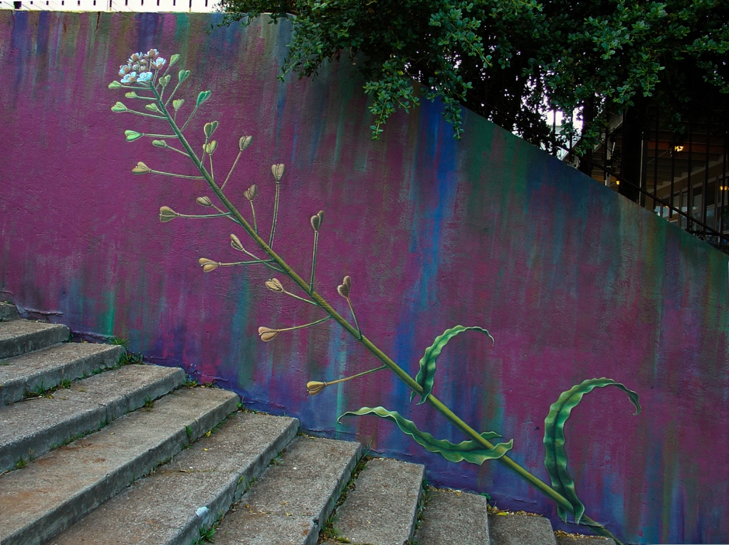 Detail of The Botanical Mural by Mona Caron Detail of The Botanical Mural by Mona Caron