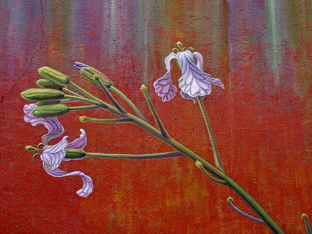 Detail of The Botanical Mural by Mona Caron Detail of The Botanical Mural by Mona Caron