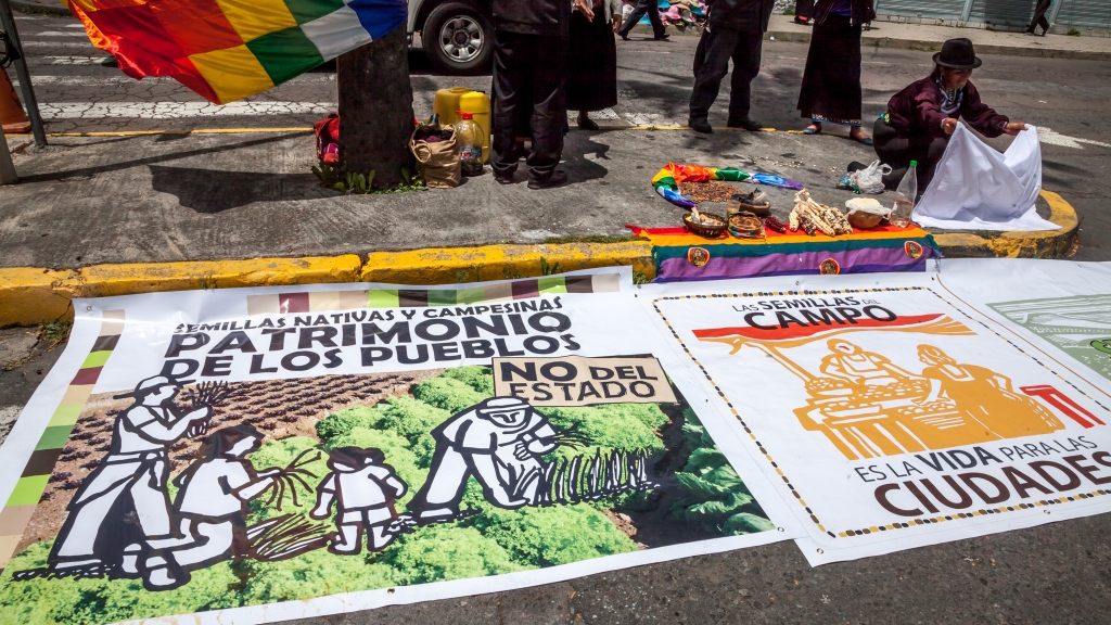 Weekly protest against the "Monsanto Law" in front of the government bldg in Quito